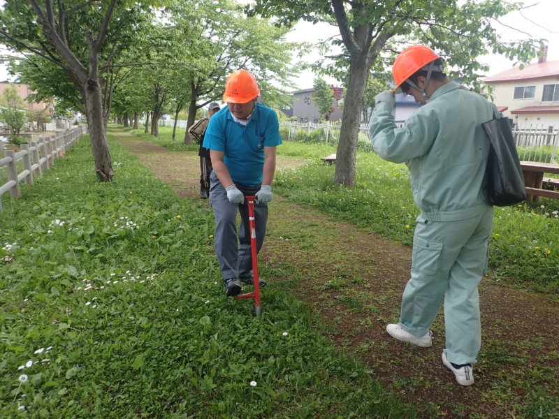 Image of 岩見沢市北3条西13丁目の桜並木の保育活動について 3