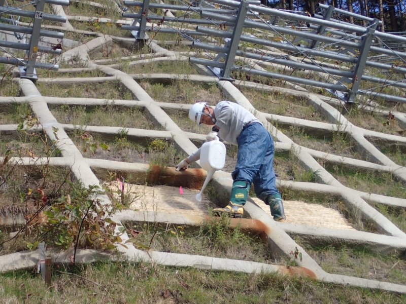 Image of 知内町小谷石中の沢での酸性硫酸塩対策緑化工の試験施工 5