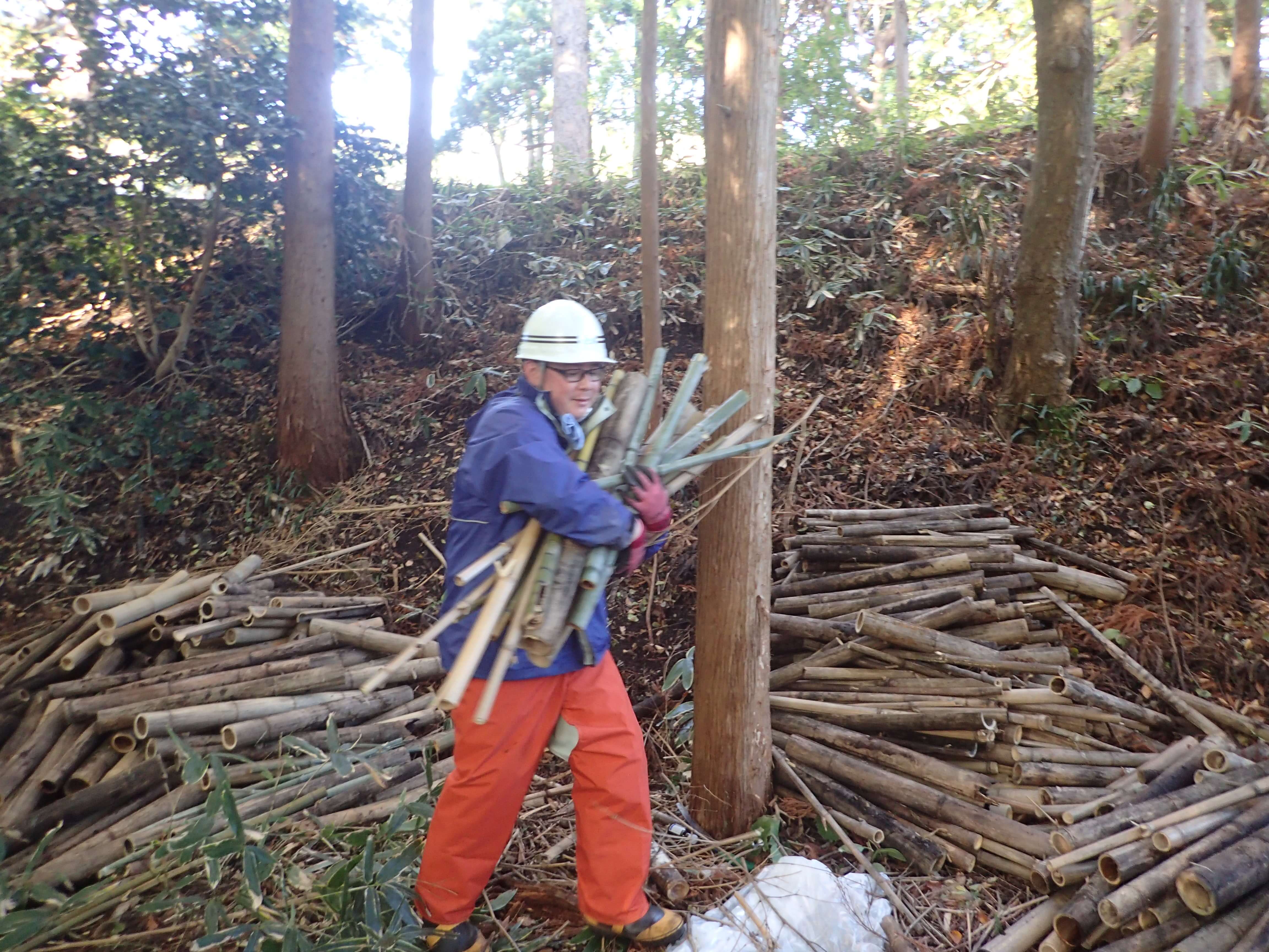 Image of 北海道松前町法幢寺での孟宗竹林での間伐等 4