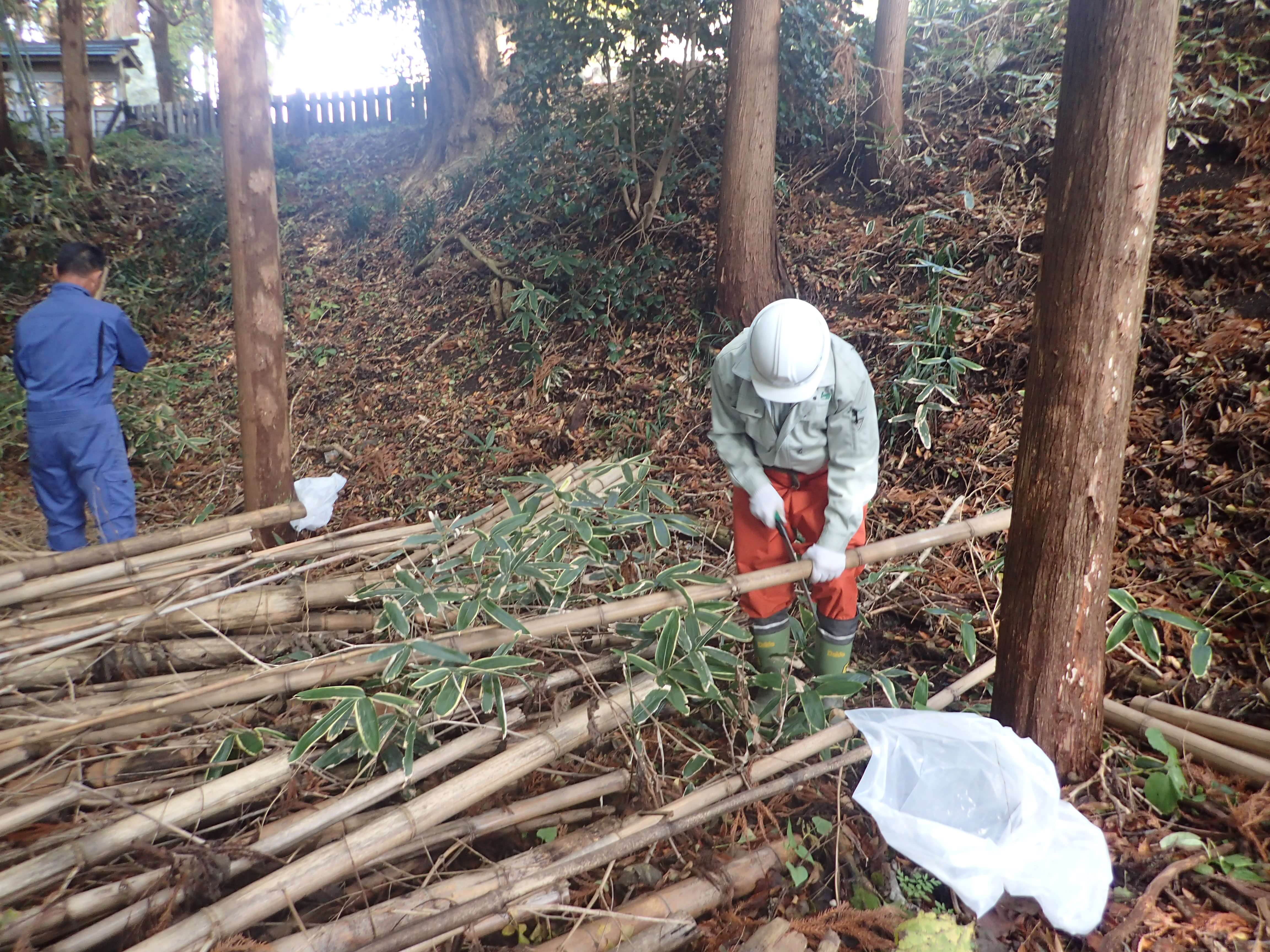 Image of 北海道松前町法幢寺での孟宗竹林での間伐等 3