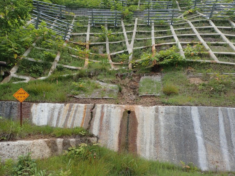 Image of 特殊土壌:知内町小谷石中の沢での酸性硫酸塩対策緑化工試験施工の調査 3
