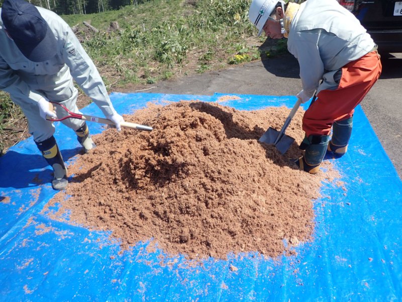 Image of 林業の軽労化~下刈作業軽減化対策試験地の設定と測定 1