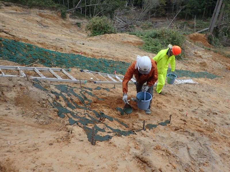 Image of 胆振東部地震に起因した崩壊地での緑化試験 3