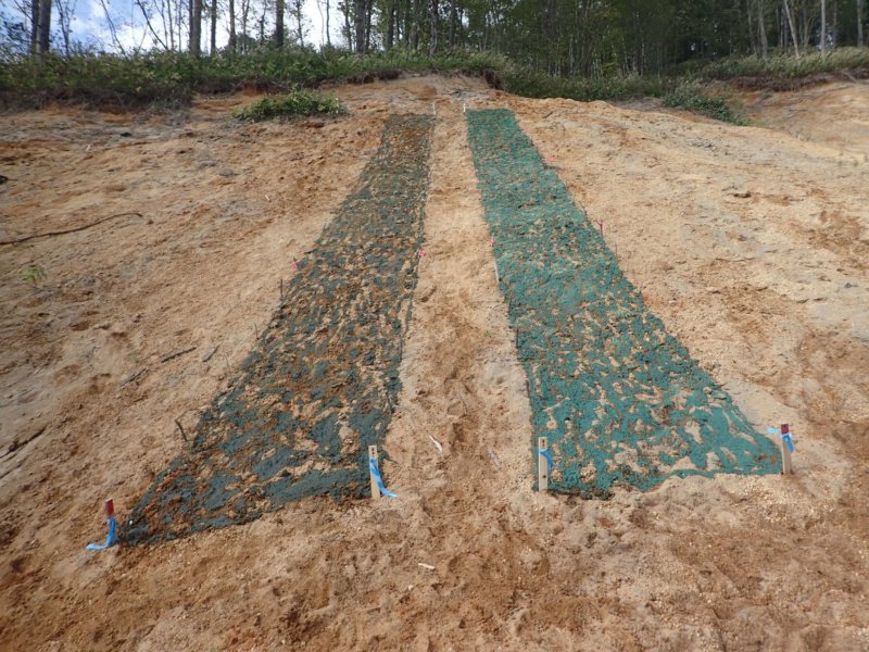 Image of 胆振東部地震に起因した崩壊地での緑化試験 6