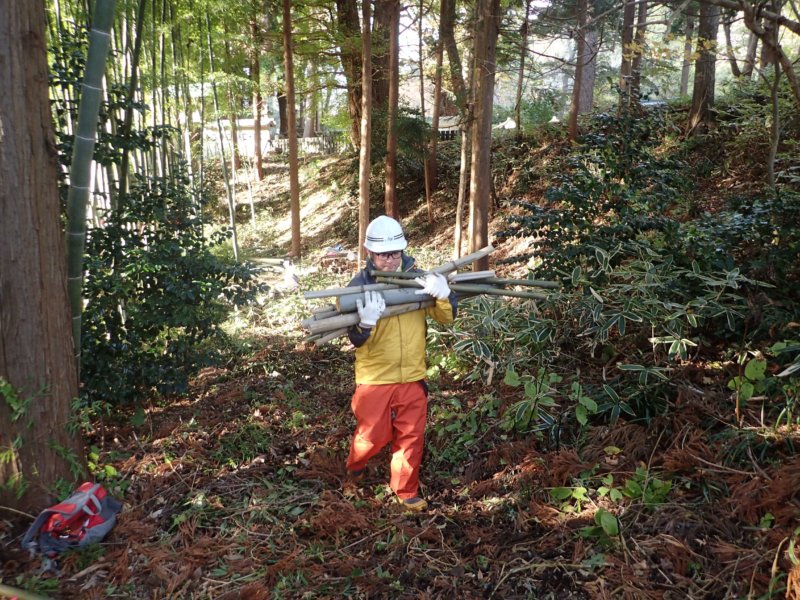 Image of 北海道松前町法幢寺での孟宗竹林での間伐等・その2 5