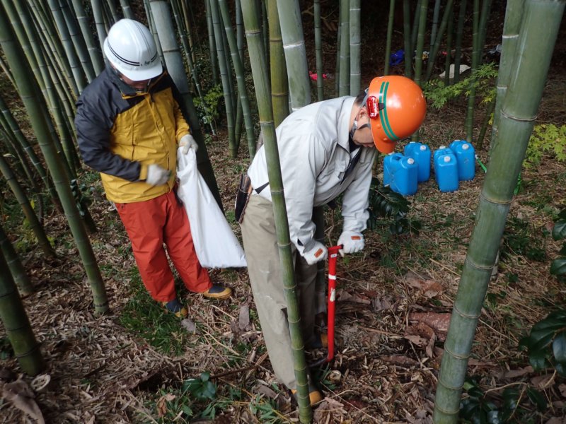 Image of 北海道松前町法幢寺での孟宗竹林での間伐等・その2 8