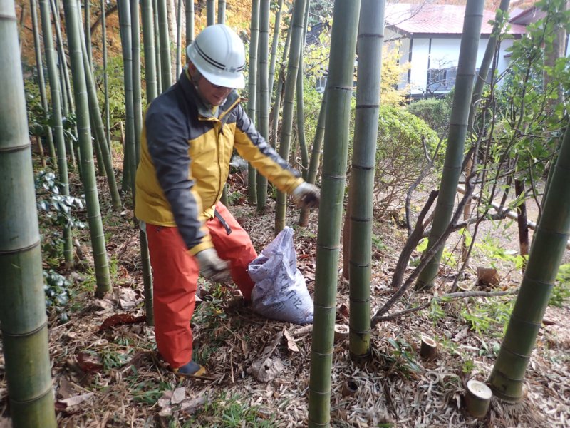 Image of 北海道松前町法幢寺での孟宗竹林での間伐等・その2 7