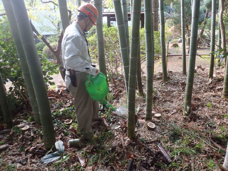 Image of 北海道松前町法幢寺での孟宗竹林での間伐等・その2 9