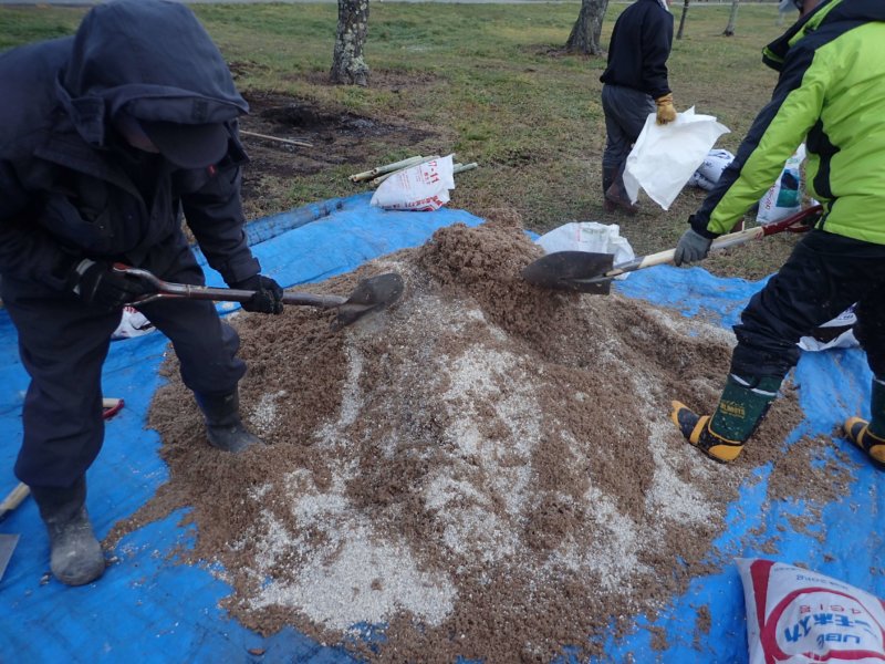 Image of 新ひだか町・二十間道路桜並木の樹勢回復措置 8