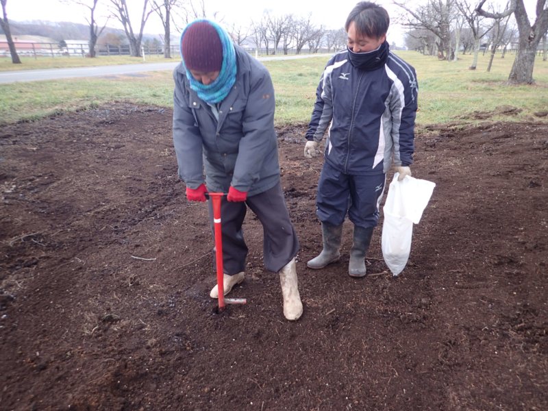 Image of 新ひだか町・二十間道路桜並木の樹勢回復措置 7