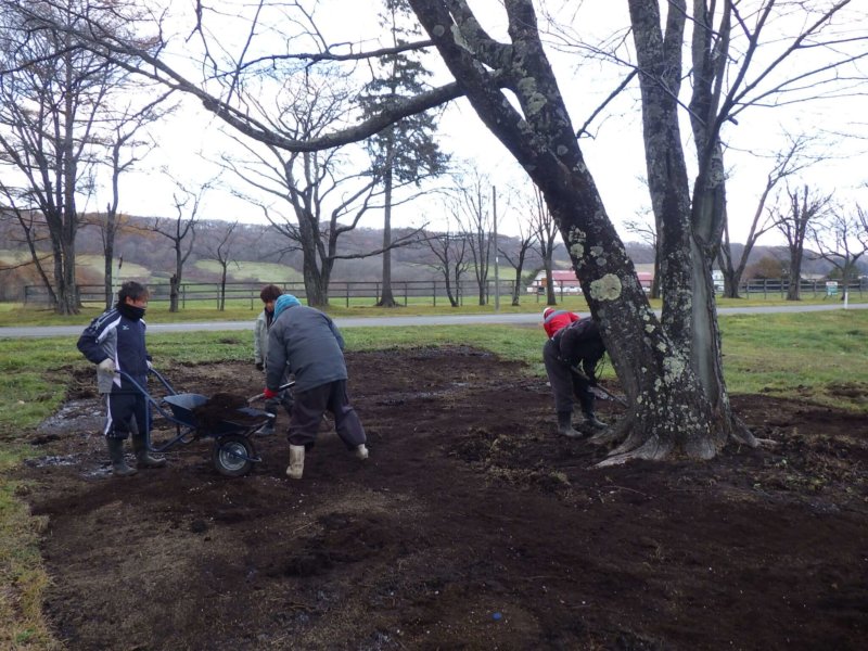 Image of 新ひだか町・二十間道路桜並木の樹勢回復措置 6